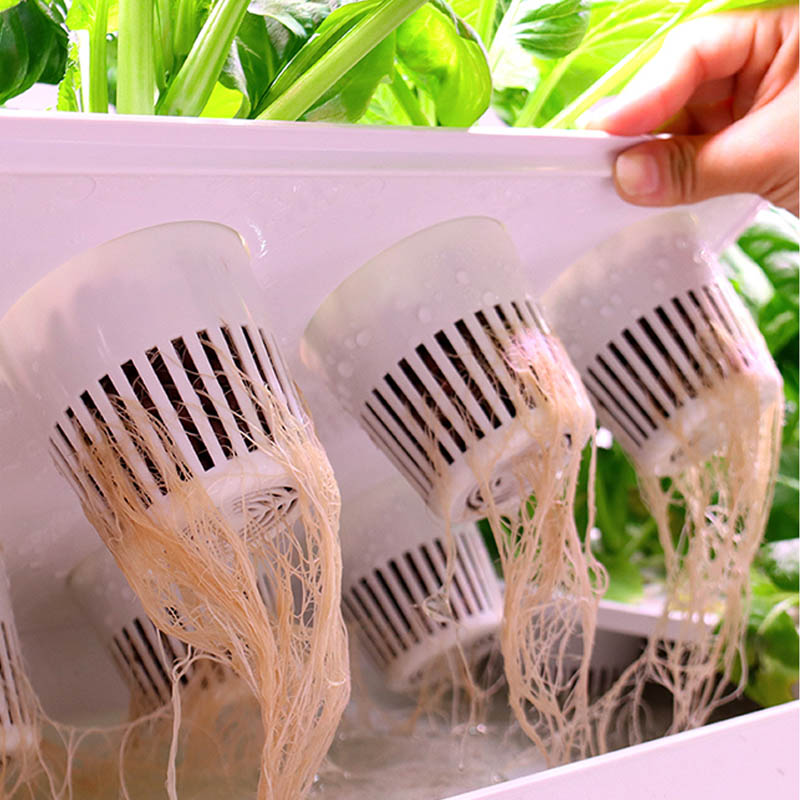 ydroponic Planting System Smar - огляд і ціна Diy Home Automation System