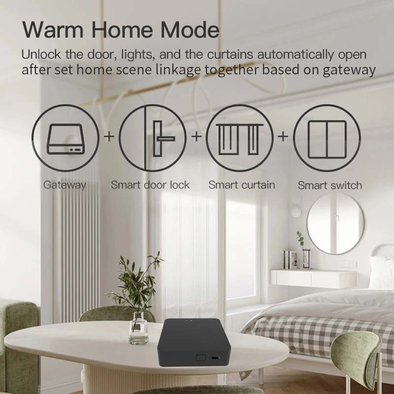 Work with Tuya Smart Zigbee+ B - огляд і ціна Diy Home Automation Hub